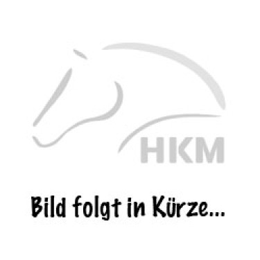 Pistepylonen HKM Dressuur Hobby Horsing Pistepylonen HKM Dressuur Hobby Horsing