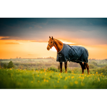 Couverture Horseware Amigo Ripstop 900D Poney Turnout 100g Marine witney Bleu marine Couverture Horseware Amigo Ripstop 900D Poney Turnout 100g Marine witney Bleu marine
