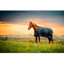 Couverture Horseware Amigo Ripstop 900D Poney Turnout 50g Marine witney Bleu marine Couverture Horseware Amigo Ripstop 900D Poney Turnout 50g Marine witney Bleu marine