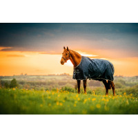 Horseware Amigo Ripstop 900D Pony Turnout 50g Deken Marine witney Marineblauw