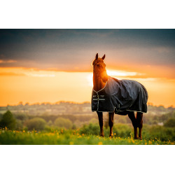 Horseware Amigo Ripstop 900D Turnout 100g deken Marine witney Marineblauw