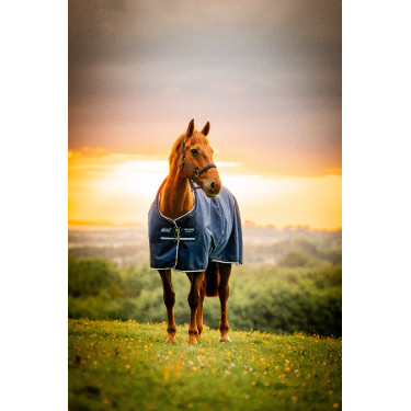 Horseware Amigo Ripstop 900D Turnout 200g deken Marine witney Marineblauw