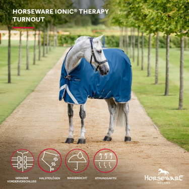 Couverture Horseware Ionic Therapy Turnout 100g Couverture Horseware Ionic Therapy Turnout 100g
