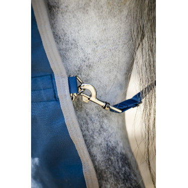 Couverture Horseware Ionic Therapy Turnout 100g Couverture Horseware Ionic Therapy Turnout 100g