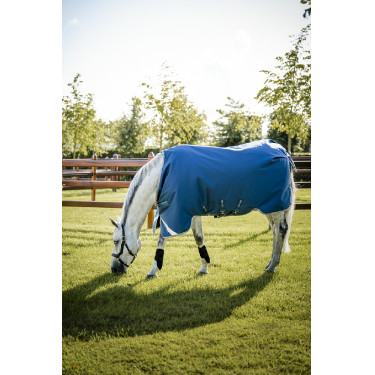 Couverture Horseware Ionic Therapy Turnout 100g Couverture Horseware Ionic Therapy Turnout 100g