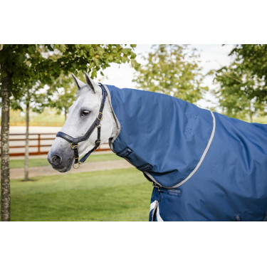 Couverture Horseware Ionic Therapy Turnout 100g Couverture Horseware Ionic Therapy Turnout 100g