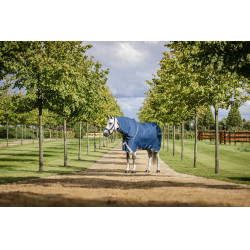 Horseware Ionic Therapy Turnout 100g deken Bleu imperial / argent /Marine Blauw Horseware Ionic Therapy Turnout 100g deken Bleu imperial / argent /Marine Blauw