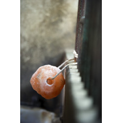 Pierre à sel Hippotonic de l'Himalaya Pierre à sel Hippotonic de l'Himalaya