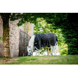 Couverture Horseware Rambo 1680D Turnout 50g Noir / orage / gris argent Couverture Horseware Rambo 1680D Turnout 50g Noir / orage / gris argent