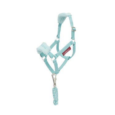 Licol et longe Vogue Hobby Horse LeMieux Licol et longe Vogue Hobby Horse LeMieux