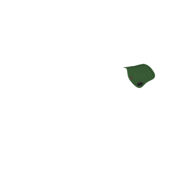 Tapis de selle LeMieux Toy Pony Vert hunter