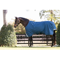 Horseware Rhino Turnout deken 100g Marine / grijs / aqua / grijs Marineblauw Horseware Rhino Turnout deken 100g Marine / grijs / aqua / grijs Marineblauw