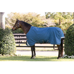 Horseware Rhino Turnout deken 100g Marine / grijs / aqua / grijs Marineblauw Horseware Rhino Turnout deken 100g Marine / grijs / aqua / grijs Marineblauw