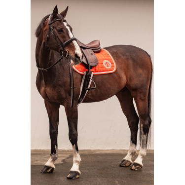 Tapis de Selle Harcour Siriel Tapis de Selle Harcour Siriel