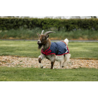 Couverture pour chèvre Horseware 0g Marine / rouge Bleu Couverture pour chèvre Horseware 0g Marine / rouge Bleu
