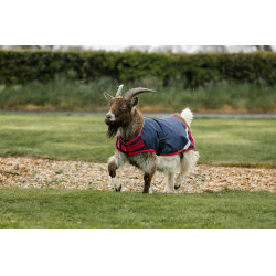 Horseware geiten deken 0g Marine / rood Blauw Horseware geiten deken 0g Marine / rood Blauw