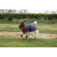 Couverture pour chèvre Horseware 0g Marine / rouge Bleu Couverture pour chèvre Horseware 0g Marine / rouge Bleu