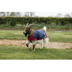Couverture pour chèvre Horseware 0g Marine / rouge Bleu