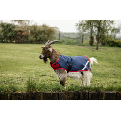 Horseware geiten deken 0g Marine / rood Blauw Horseware geiten deken 0g Marine / rood Blauw