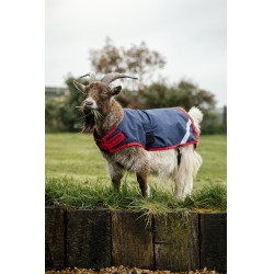 Couverture pour chèvre Horseware 0g Marine / rouge Bleu