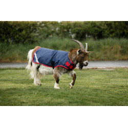 Couverture pour chèvre Horseware 0g Marine / rouge Bleu