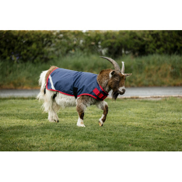 Couverture pour chèvre Horseware 0g Couverture pour chèvre Horseware 0g