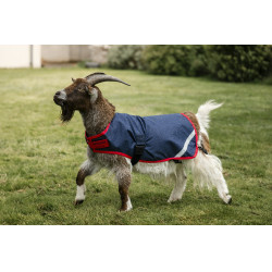 Horseware geiten deken 0g Marine / rood Blauw Horseware geiten deken 0g Marine / rood Blauw