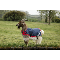 Couverture pour chèvre Horseware 0g Marine / rouge Bleu