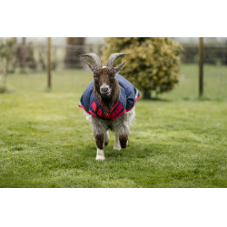 Horseware geiten deken 0g Marine / rood Blauw Horseware geiten deken 0g Marine / rood Blauw
