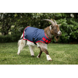 Couverture pour chèvre Horseware 0g Marine / rouge Bleu