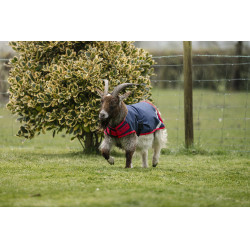 Couverture pour chèvre Horseware 0g Marine / rouge Bleu