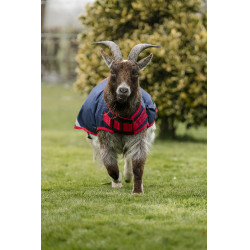 Couverture pour chèvre Horseware 0g Marine / rouge Bleu