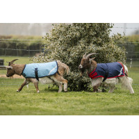 Horseware geiten deken 0g