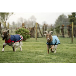 Couverture pour chèvre Horseware 0g