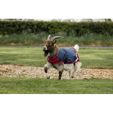 Couverture pour chèvre Horseware 200g Couverture pour chèvre Horseware 200g