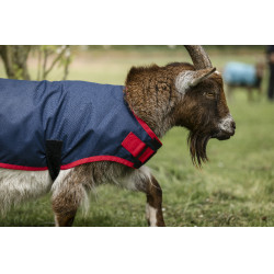 Horseware geiten deken 200g Marine / rood Blauw Horseware geiten deken 200g Marine / rood Blauw