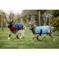Couverture pour chèvre Horseware 200g Couverture pour chèvre Horseware 200g