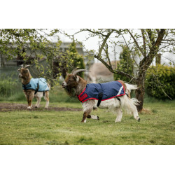 Couverture pour chèvre Horseware 200g Couverture pour chèvre Horseware 200g