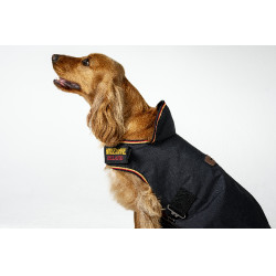 Couverture pour chien Horseware Newmarket Or blanc Couverture pour chien Horseware Newmarket Or blanc