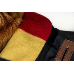 Couverture pour chien Horseware Newmarket Or blanc Couverture pour chien Horseware Newmarket Or blanc