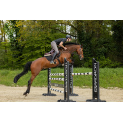 Pantalon Pikeur New Rodrigo Grip genoux 7603 Sports homme Gris acier Pantalon Pikeur New Rodrigo Grip genoux 7603 Sports homme Gris acier