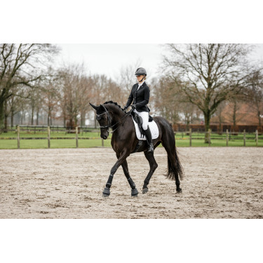 Handschoenen Horseware AA Platinium Zwart