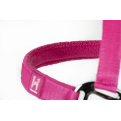 Licol et longe Horseware Newmarket Rose witney