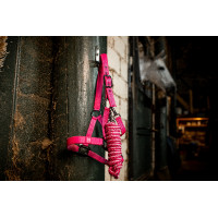 Halster en touw Horseware Newmarket Rose witney Roze