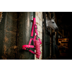 Licol et longe Horseware Newmarket Rose witney