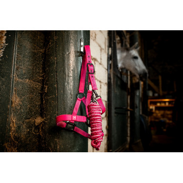 Licol et longe Horseware Newmarket Rose witney