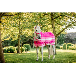 Licol et longe Horseware Newmarket Rose witney