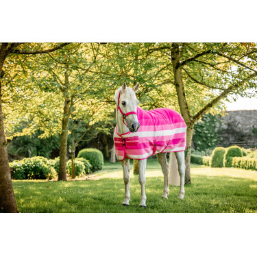 Licol et longe Horseware Newmarket Rose witney