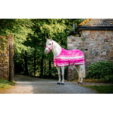 Licol et longe Horseware Newmarket Rose witney