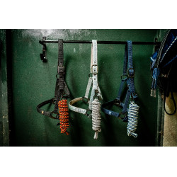 Licol et longe Horseware Newmarket Or blanc